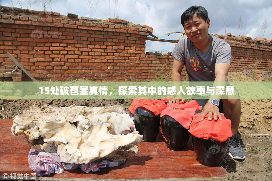 15处破苞显真情，探索其中的感人故事与深意