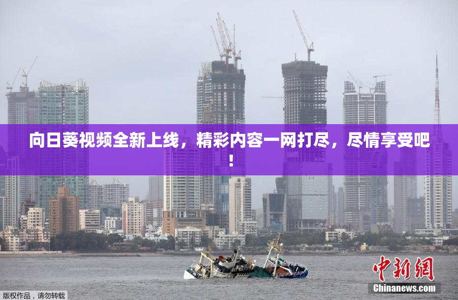 向日葵视频全新上线，精彩内容一网打尽，尽情享受吧！