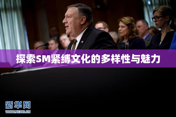 探索SM紧缚文化的多样性与魅力