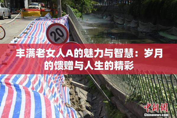 丰满老女人A的魅力与智慧：岁月的馈赠与人生的精彩