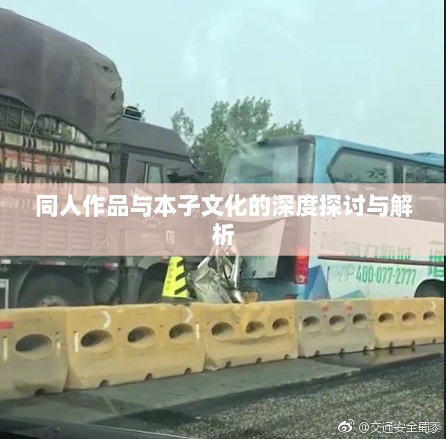 同人作品与本子文化的深度探讨与解析