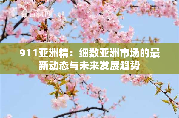 911亚洲精：细数亚洲市场的最新动态与未来发展趋势