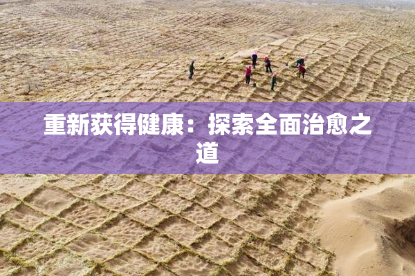 重新获得健康：探索全面治愈之道
