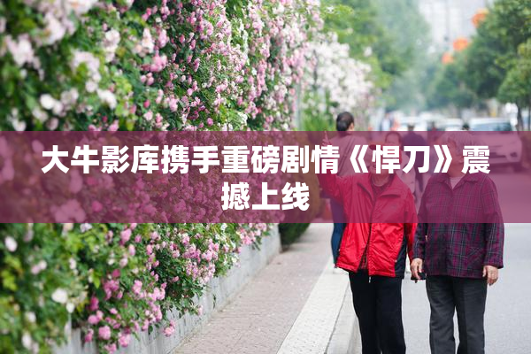 大牛影库携手重磅剧情《悍刀》震撼上线