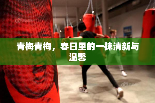 青梅青梅，春日里的一抹清新与温馨