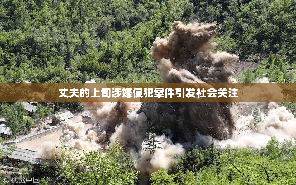 丈夫的上司涉嫌侵犯案件引发社会关注