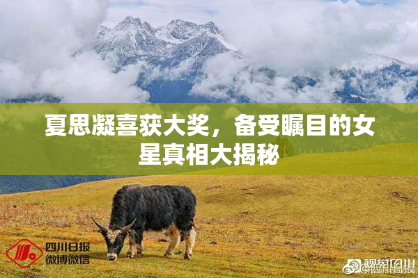 夏思凝喜获大奖，备受瞩目的女星真相大揭秘