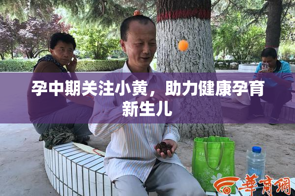 孕中期关注小黄，助力健康孕育新生儿