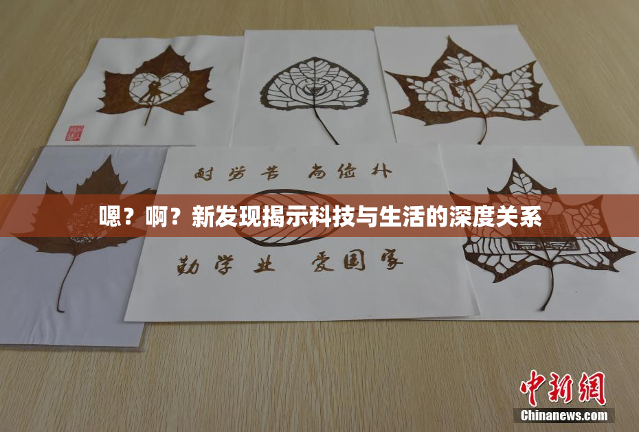 嗯？啊？新发现揭示科技与生活的深度关系