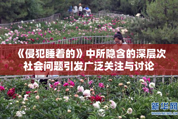 《侵犯睡着的》中所隐含的深层次社会问题引发广泛关注与讨论