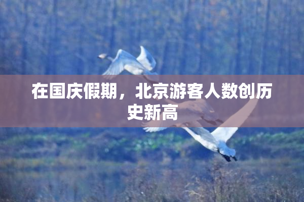 在国庆假期，北京游客人数创历史新高