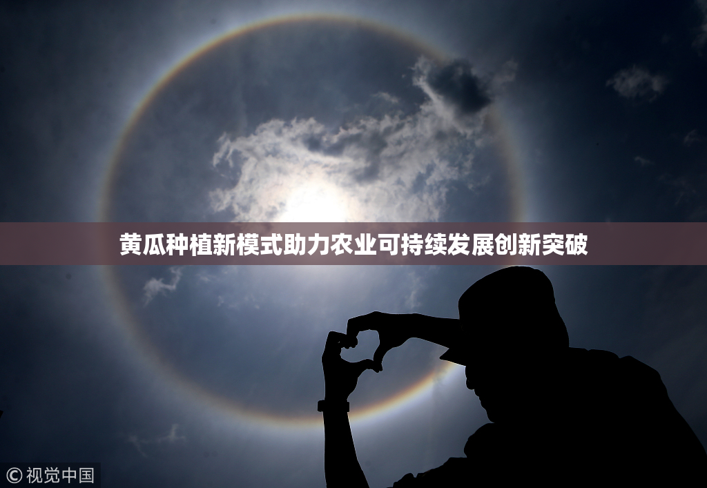 黄瓜种植新模式助力农业可持续发展创新突破