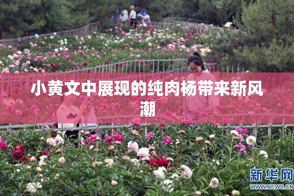 小黄文中展现的纯肉杨带来新风潮