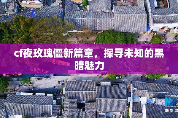 cf夜玫瑰僵新篇章，探寻未知的黑暗魅力