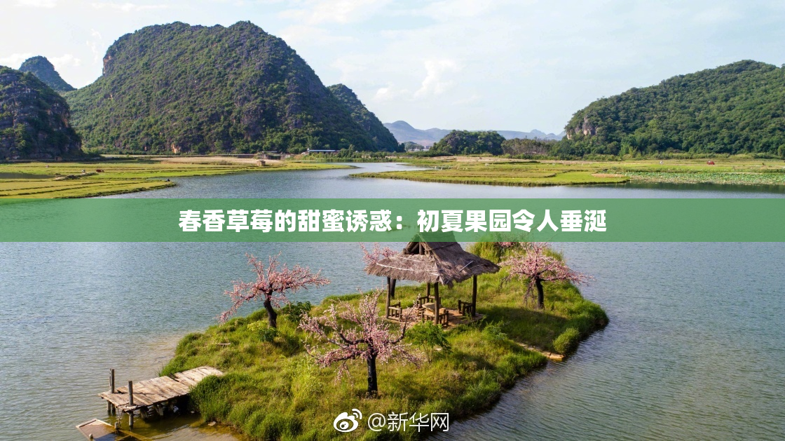 春香草莓的甜蜜诱惑：初夏果园令人垂涎