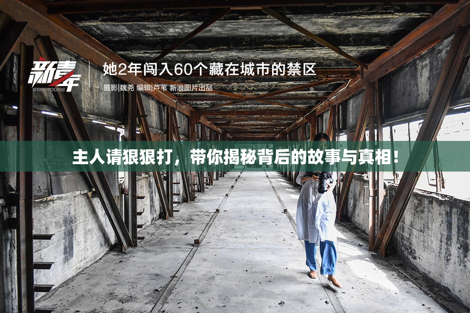 主人请狠狠打，带你揭秘背后的故事与真相！