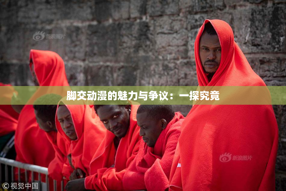 脚交动漫的魅力与争议：一探究竟