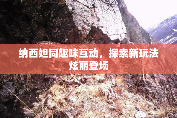 纳西妲同趣味互动，探索新玩法炫丽登场