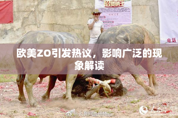 欧美ZO引发热议，影响广泛的现象解读