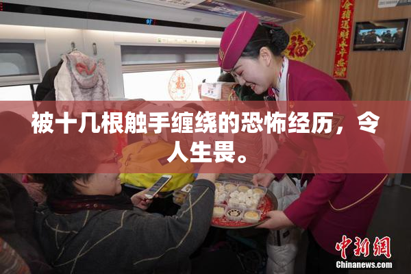 被十几根触手缠绕的恐怖经历，令人生畏。
