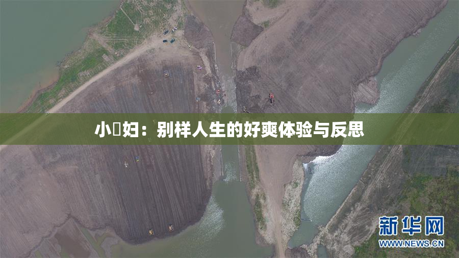 小婬妇：别样人生的好爽体验与反思