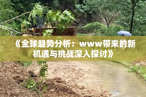《全球趋势分析：www带来的新机遇与挑战深入探讨》