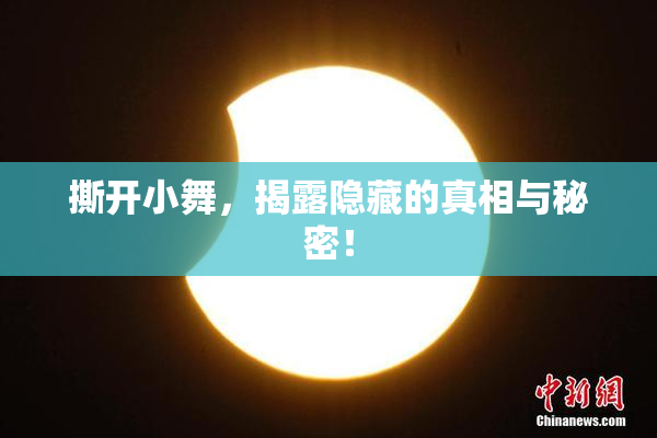 撕开小舞，揭露隐藏的真相与秘密！