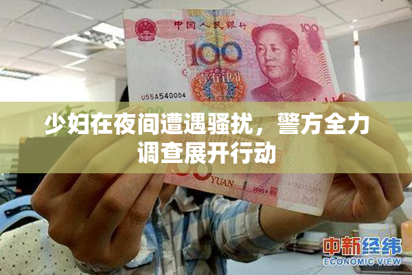 少妇在夜间遭遇骚扰，警方全力调查展开行动