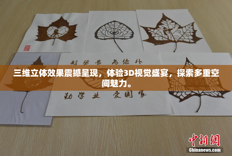三维立体效果震撼呈现，体验3D视觉盛宴，探索多重空间魅力。