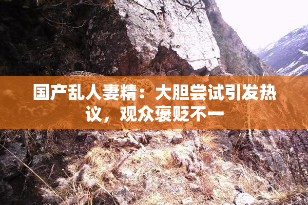 国产乱人妻精：大胆尝试引发热议，观众褒贬不一