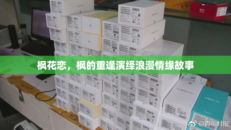 枫花恋，枫的重逢演绎浪漫情缘故事