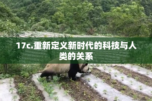 17c.重新定义新时代的科技与人类的关系