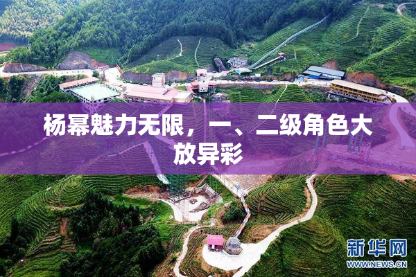 杨幂魅力无限，一、二级角色大放异彩