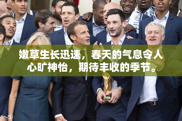 嫩草生长迅速，春天的气息令人心旷神怡，期待丰收的季节。