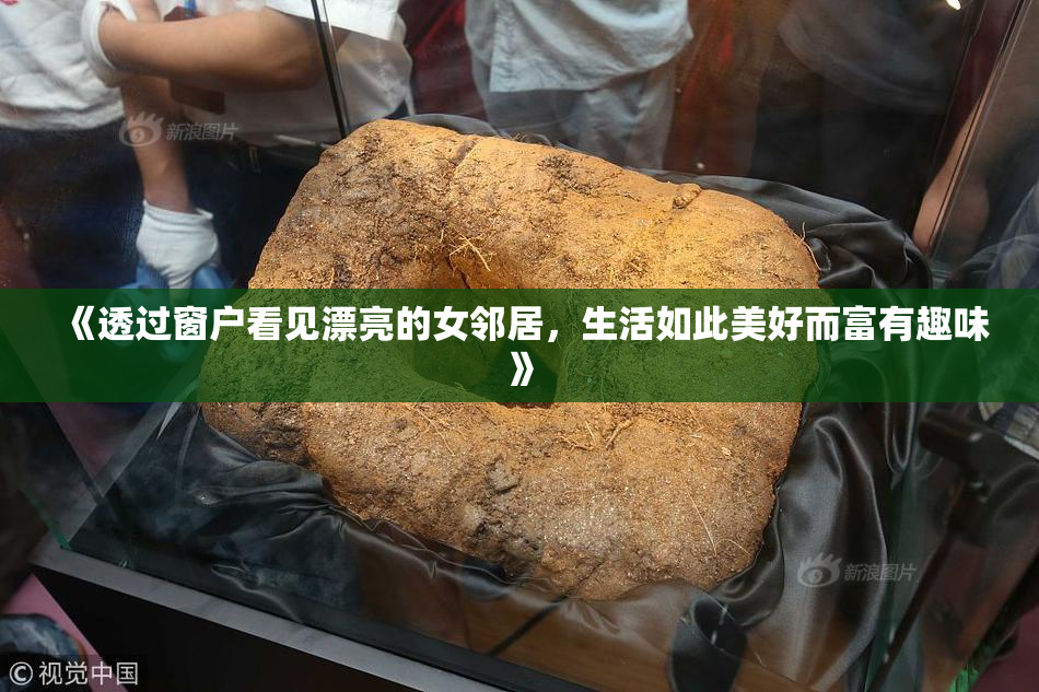 《透过窗户看见漂亮的女邻居，生活如此美好而富有趣味》