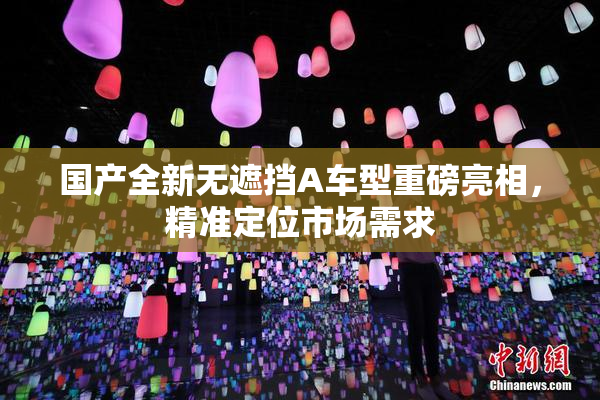国产全新无遮挡A车型重磅亮相，精准定位市场需求