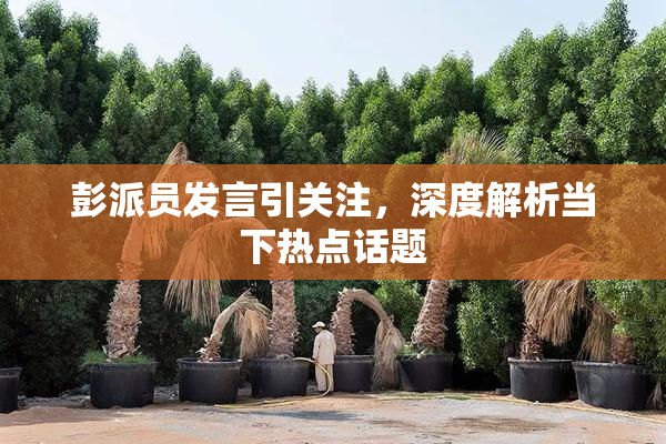 彭派员发言引关注，深度解析当下热点话题