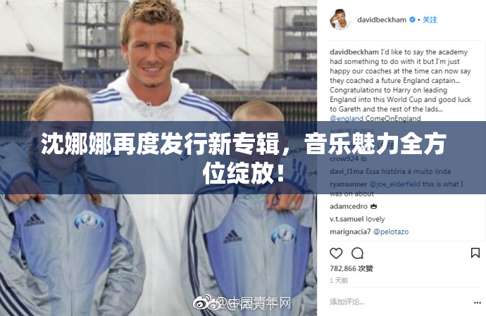 沈娜娜再度发行新专辑，音乐魅力全方位绽放！