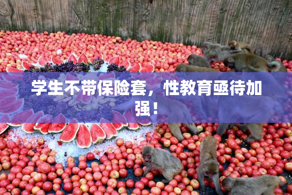 学生不带保险套，性教育亟待加强！