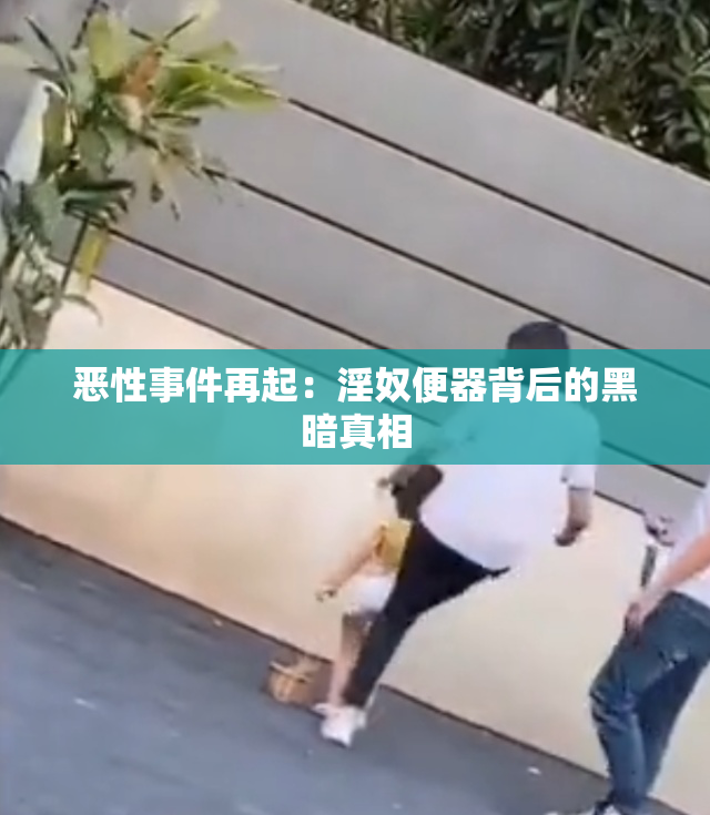 恶性事件再起：淫奴便器背后的黑暗真相