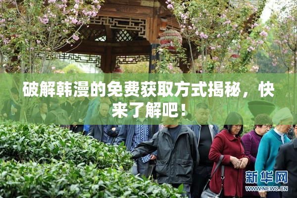 破解韩漫的免费获取方式揭秘，快来了解吧！