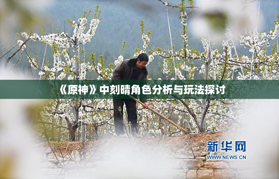 《原神》中刻晴角色分析与玩法探讨