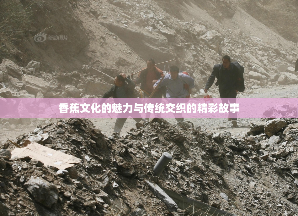 香蕉文化的魅力与传统交织的精彩故事