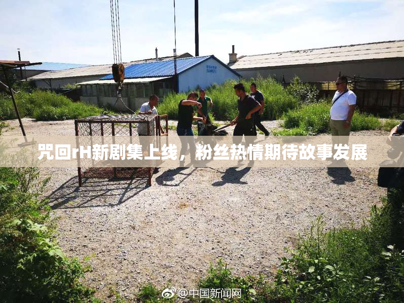 咒回rH新剧集上线，粉丝热情期待故事发展