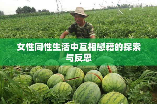 女性同性生活中互相慰藉的探索与反思
