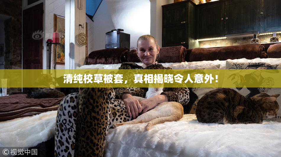 清纯校草被套，真相揭晓令人意外！
