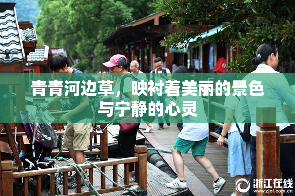 青青河边草，映衬着美丽的景色与宁静的心灵