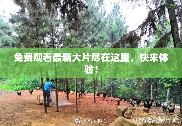 免费观看最新大片尽在这里，快来体验！