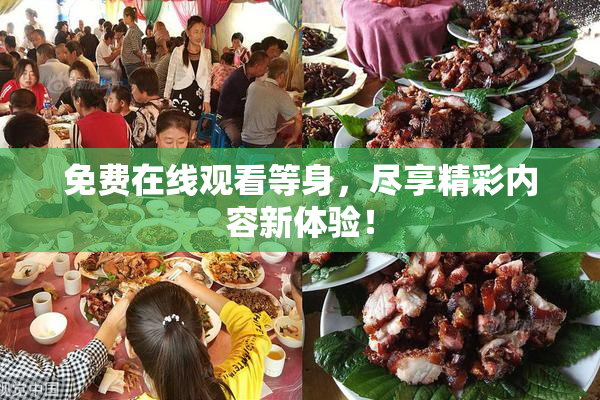 免费在线观看等身，尽享精彩内容新体验！