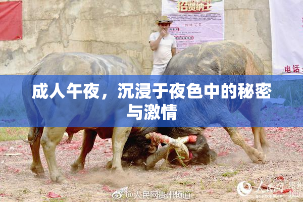 成人午夜，沉浸于夜色中的秘密与激情